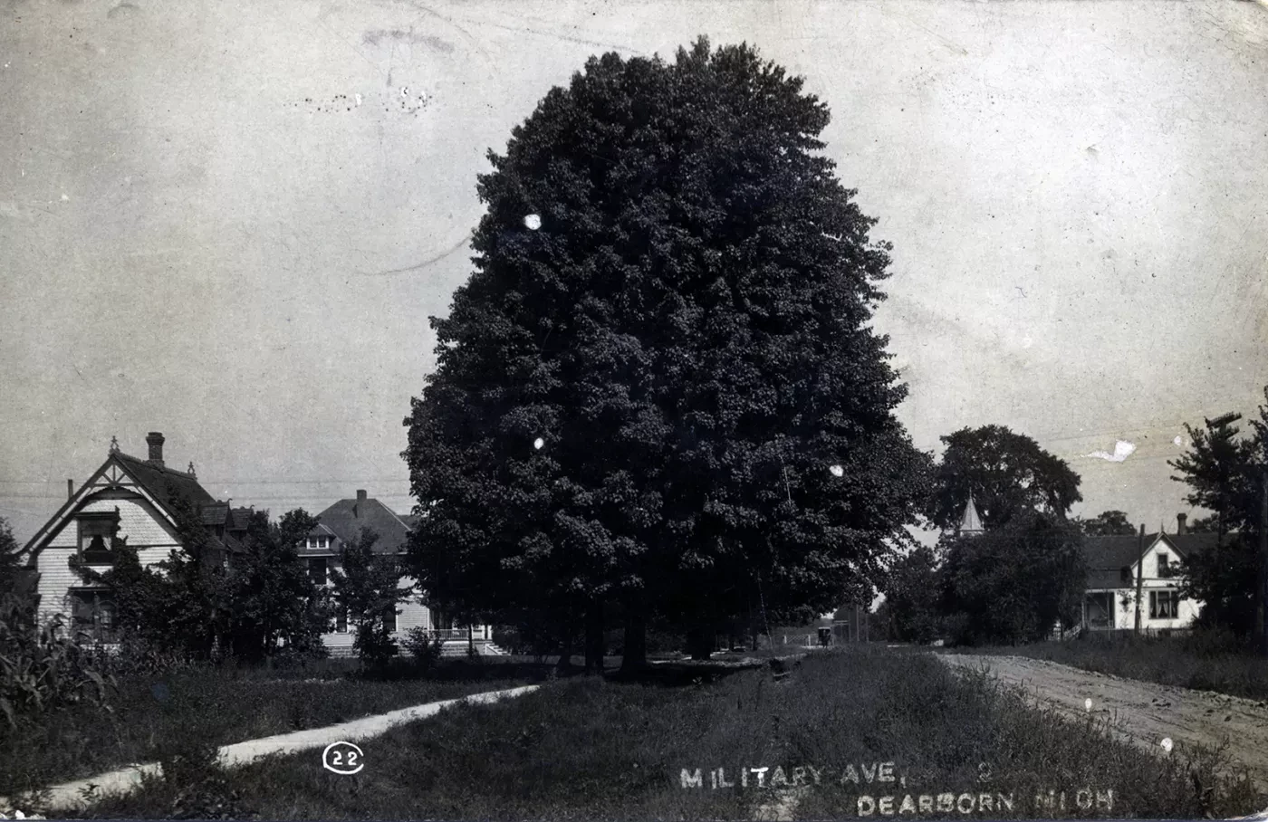 A large, leafy tree stands in the center of a rural street, flanked by houses. The photo is black and white.