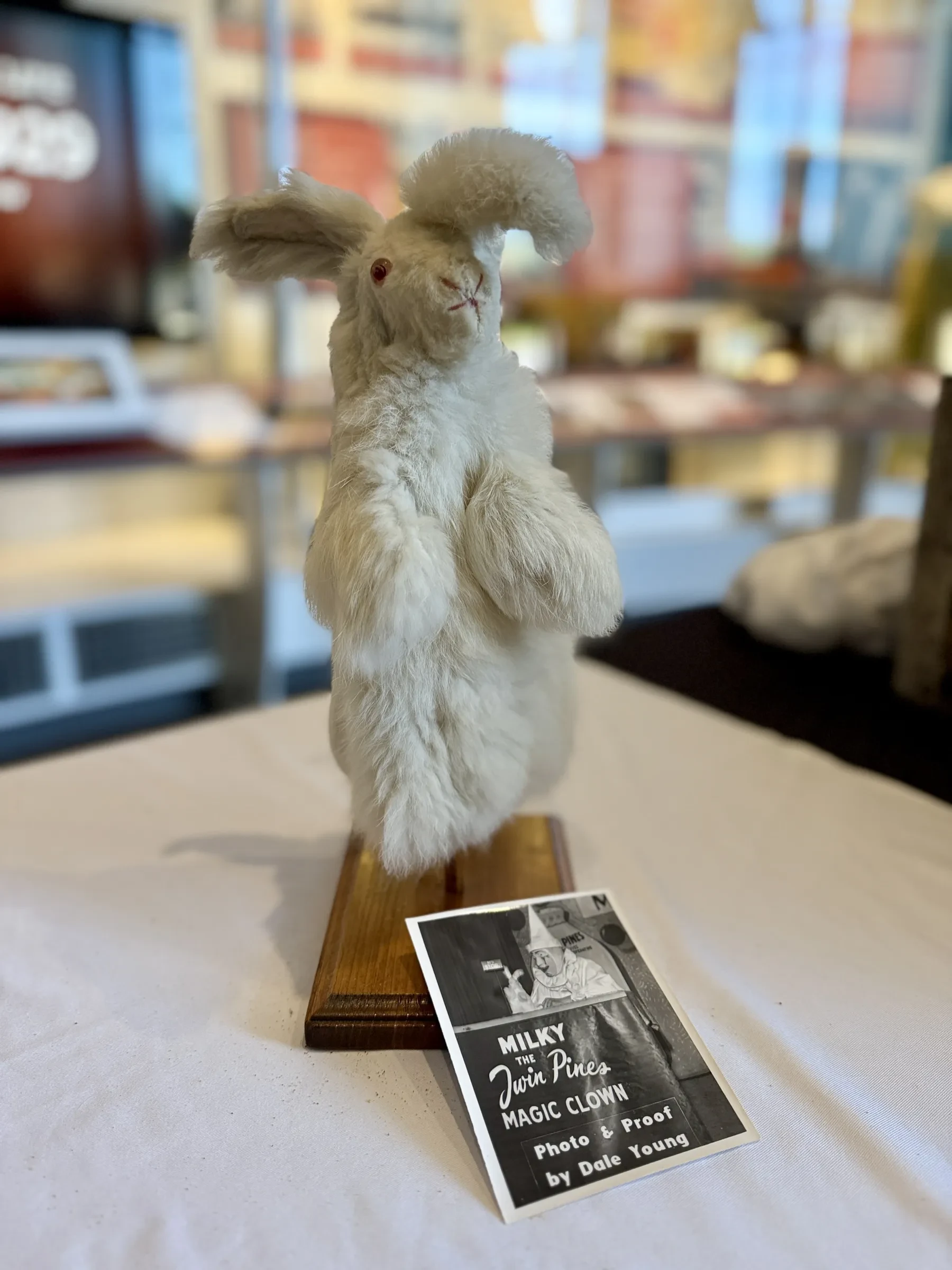 Fluffy white rabbit statue on display with a small plaque, set against a blurred museum background.